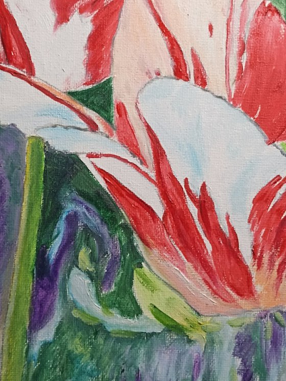 Tulips flowers