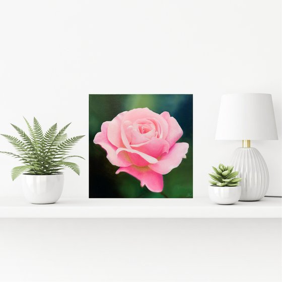 Luminous Rose