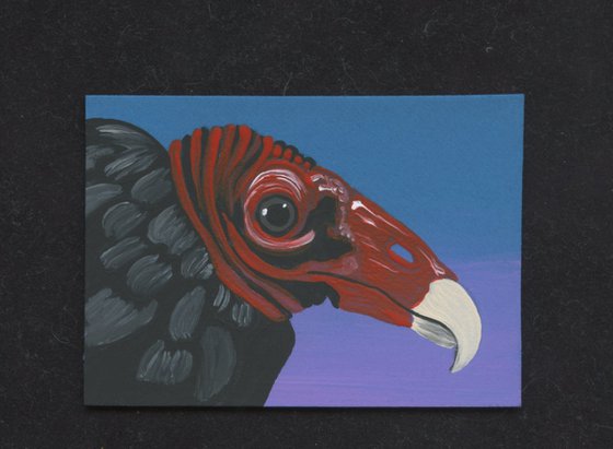 ACEO ATC Original Miniature Painting Turkey Vulture Wildlife Bird Art-Carla Smale