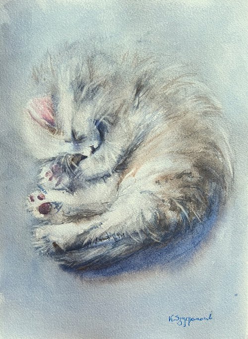 Cat nap by Krystyna Szczepanowski