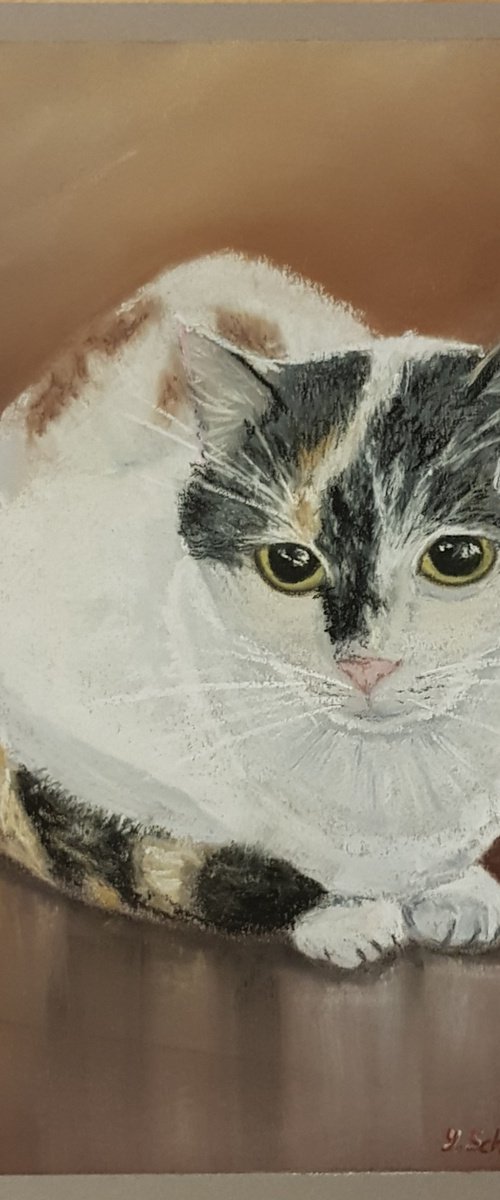 Lissy Cat by Yulia Schuster