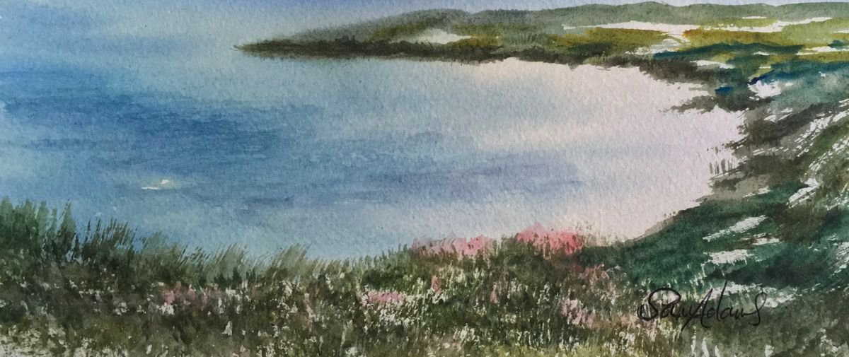 The Summer Isles by Samantha Adams