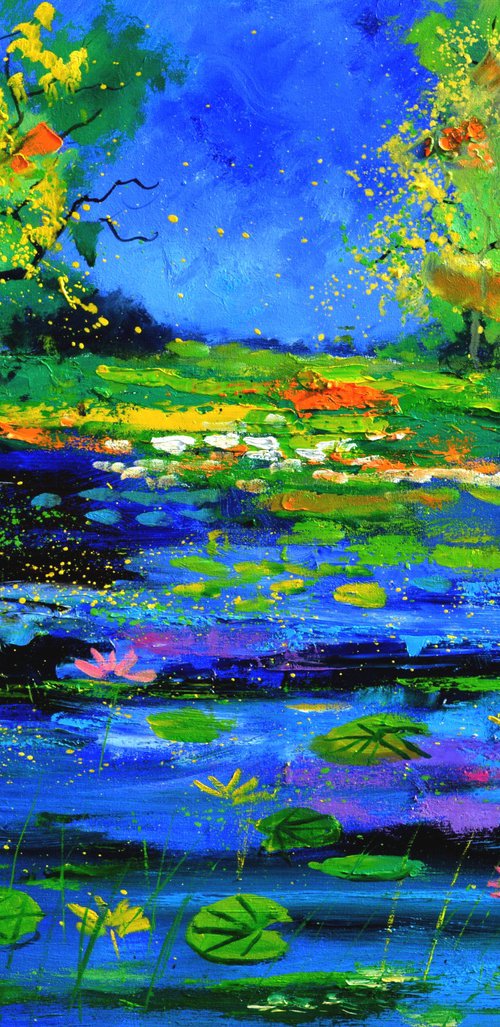 Magic pond by Pol Henry Ledent