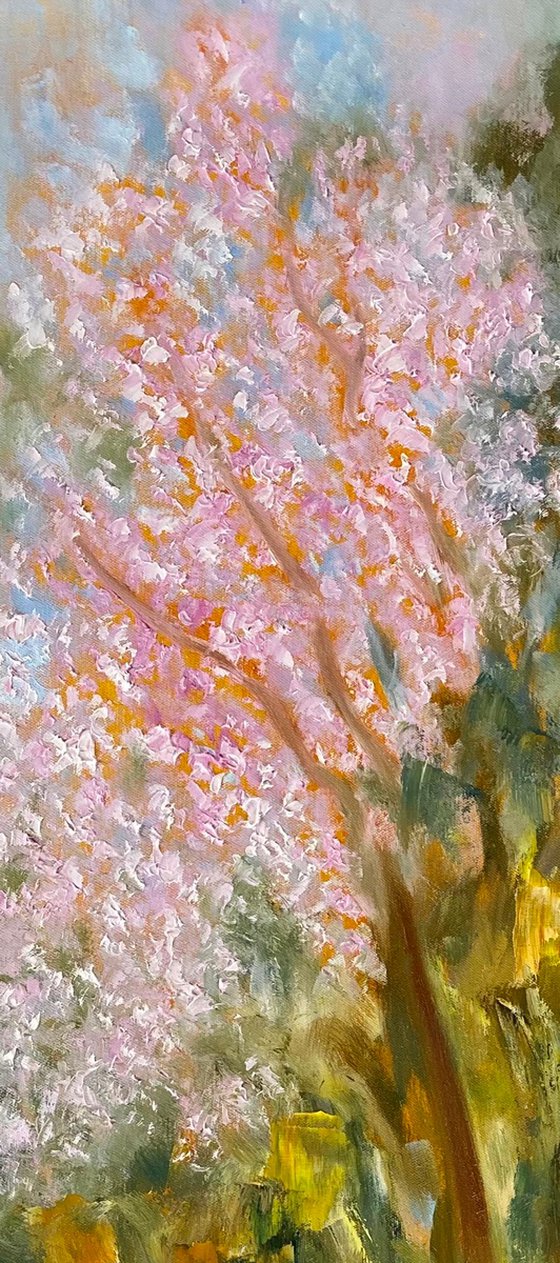 Wild Cherry Blossoms