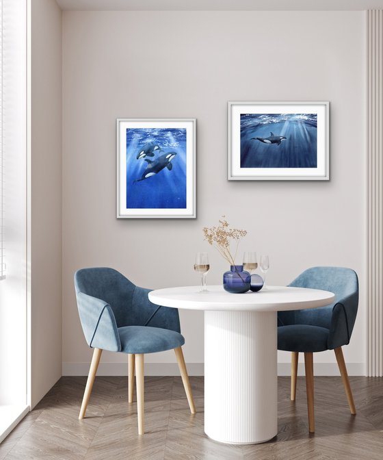 Set of two paintings. Killer whales underwater. Original watercolor artworks.