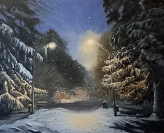 The Snowy Night