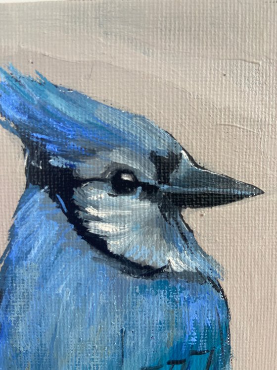 Bird painting Blue Jay 22x16cm (6x8inch) original oil art
