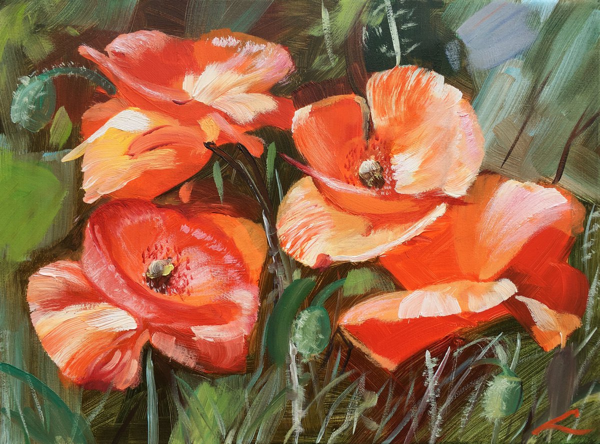 Impressionistic Botanical Oil Painting By Elena Sokolova, 16 X 12, Poppies 3, Original Artwork