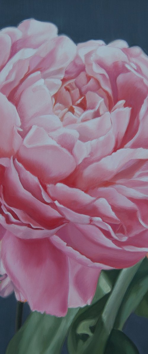 Peony II by Simona Tsvetkova