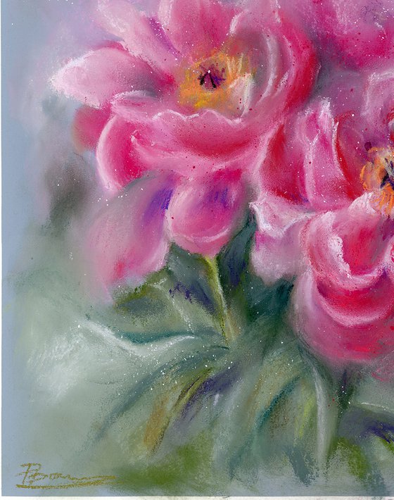 Peonies (soft pastel)