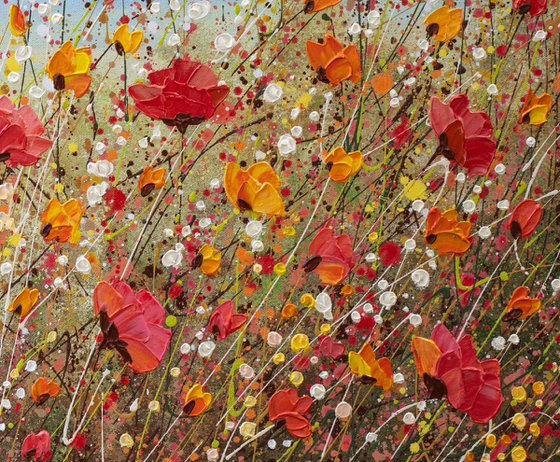 Sunlit poppies - Wildflower Meadow Painting
