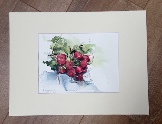 A bouquet of radishes