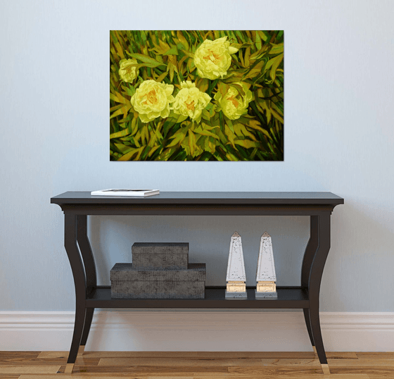 Mainau garden 3. - Peonia
