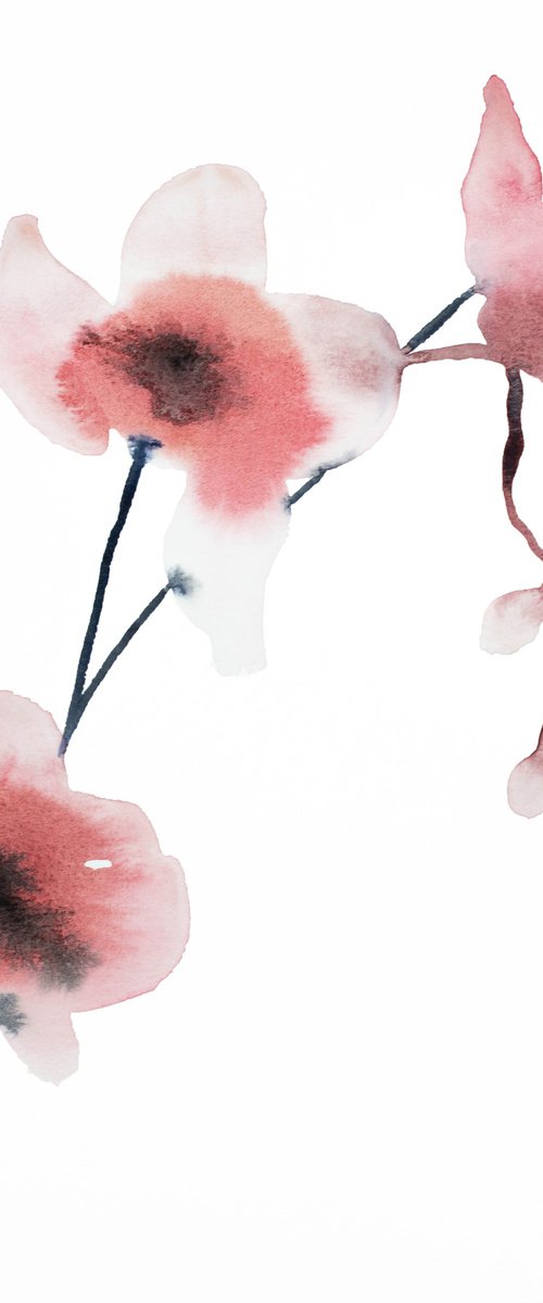 Orchid No. 1 by Elizabeth Becker