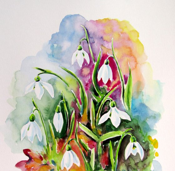 Snowdrops in the forest
