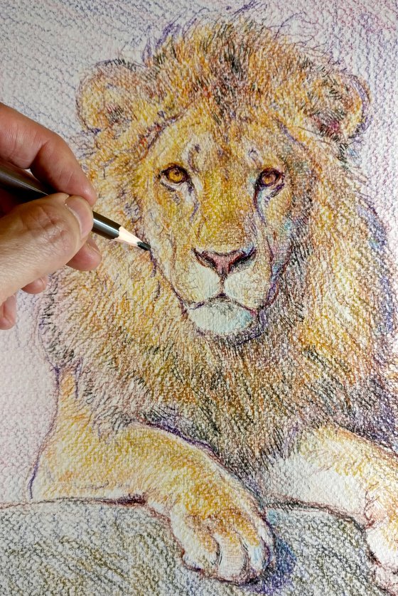 Lion