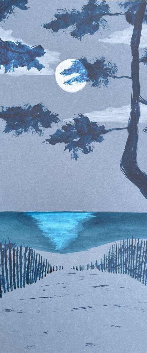 Sainte-Marine moonlight by Cadiou Frederic