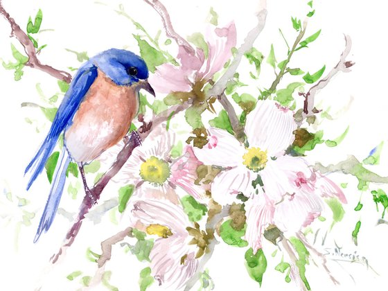 Bluebird and Dogwood Flowers