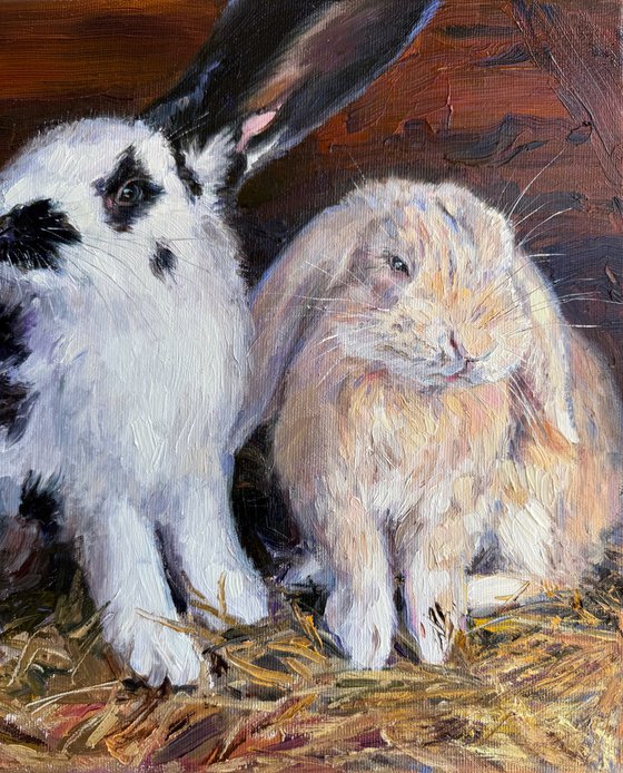 « Sunny bunny»