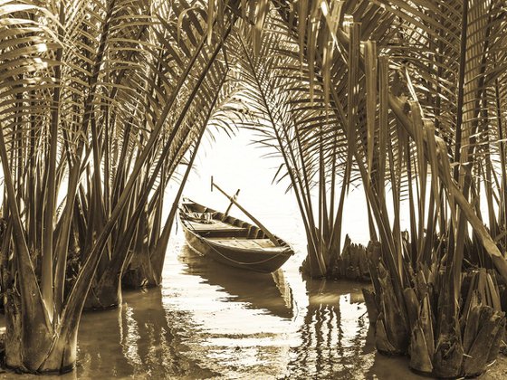 BOAT AMONGST PALMS