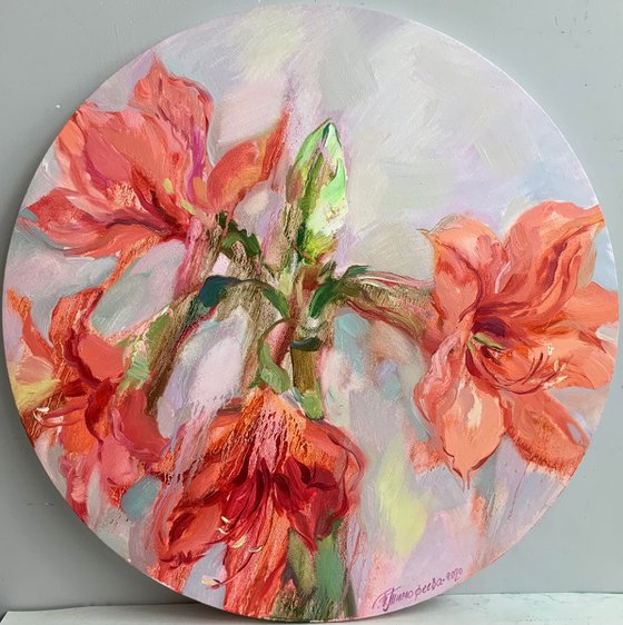 Coral Amaryllis