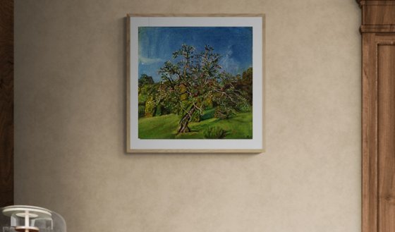 Apple tree