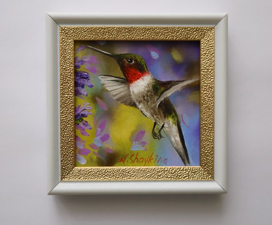 Vibrant Hummingbird Miniature