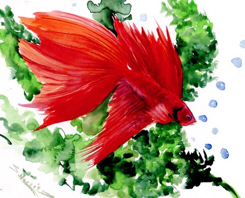 Red Betta Fish by Suren Nersisyan