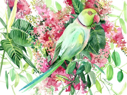 Rose-Ringed Parakeet, Parrot by Suren Nersisyan