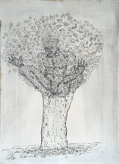 Tree by paolo beneforti