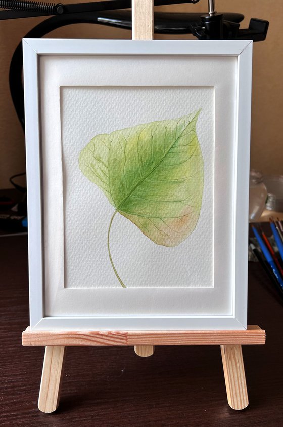 Autumn leaf Sketch #5