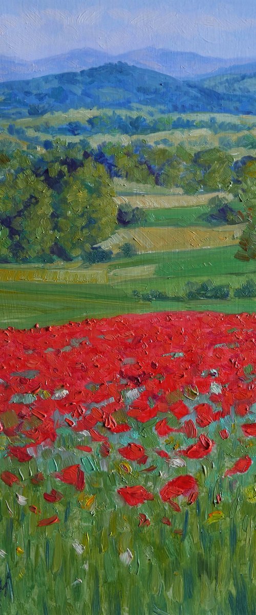 Poppy fields in Tuscany by Claudio Ciardi