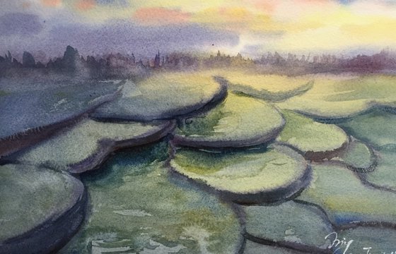 Terraced Fields