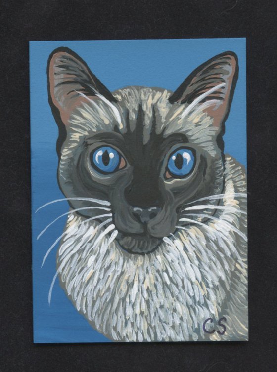 ACEO ATC Original Miniature Painting Siamese Pet Cat Art-Carla Smale