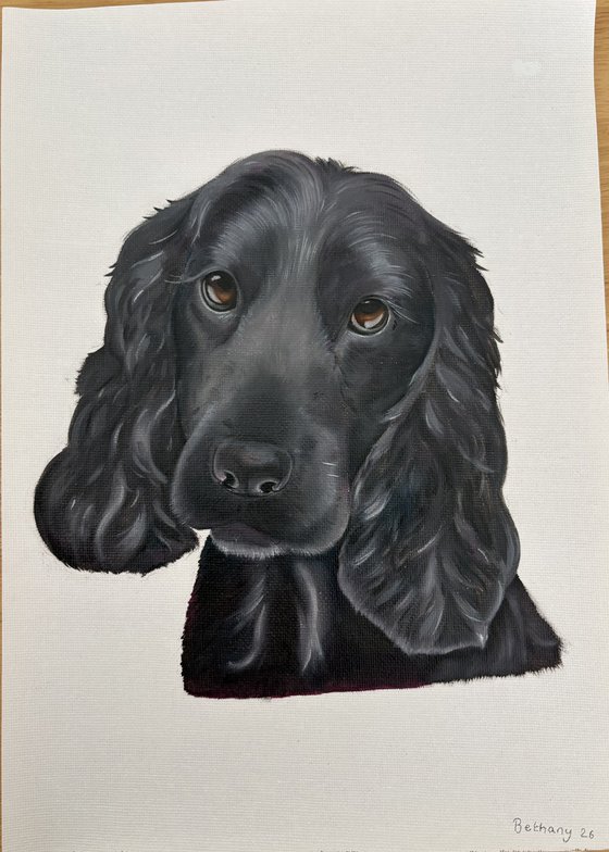 Soulful Eyes