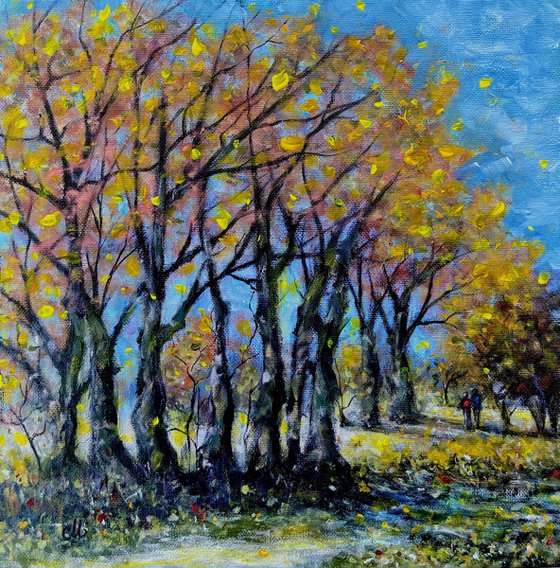 When trees tell stories