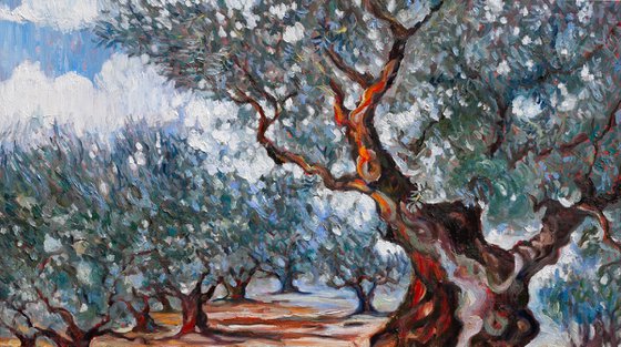Olive Grove