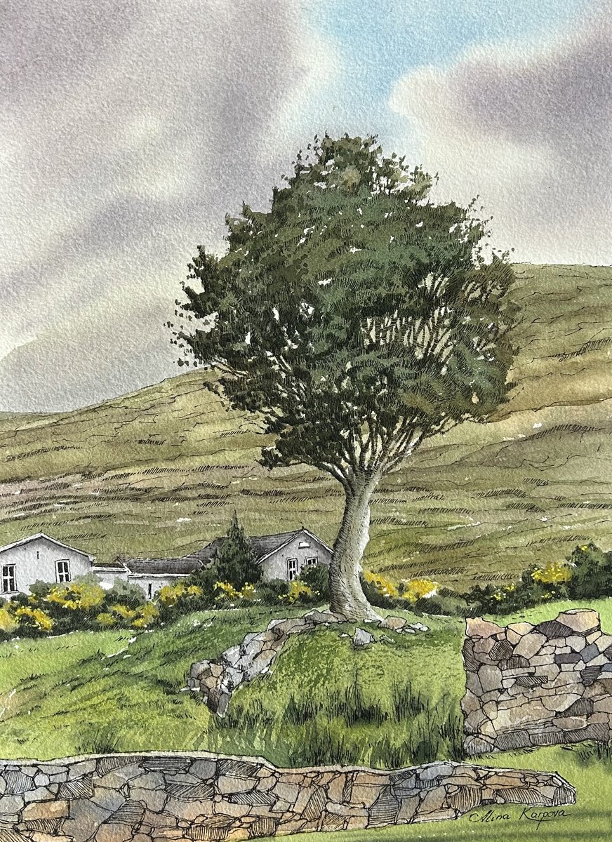 Landscape of Co.Galway by Alina Karpova