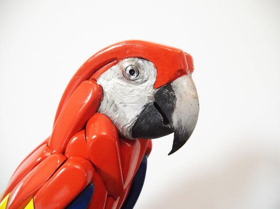 Parrot