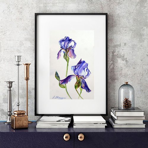 Purple irises Original watercolor painting, photorealistic stille, flowers, floral, botanical wall art by Alina Shmygol