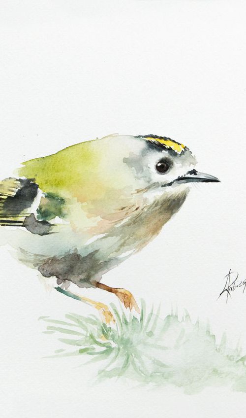 Goldcrest by Andrzej Rabiega