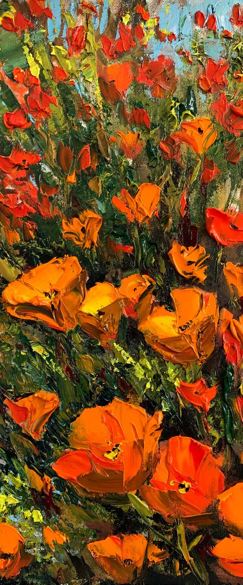 Anytime For Poppies by Lisa Elley