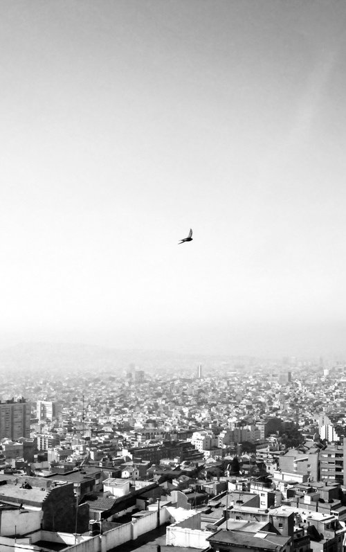 Summer by Frankie Malone