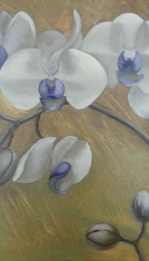 `White orchids in gold` by Sandra Gotautaite