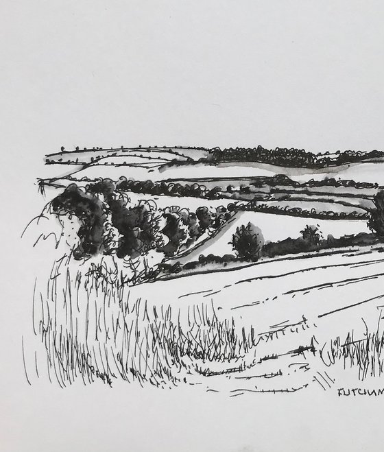 Norfolk Farm Landscape - trees hedges fields hills