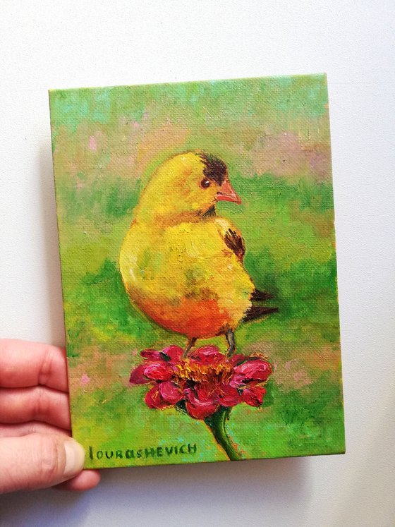 Garden Serenade