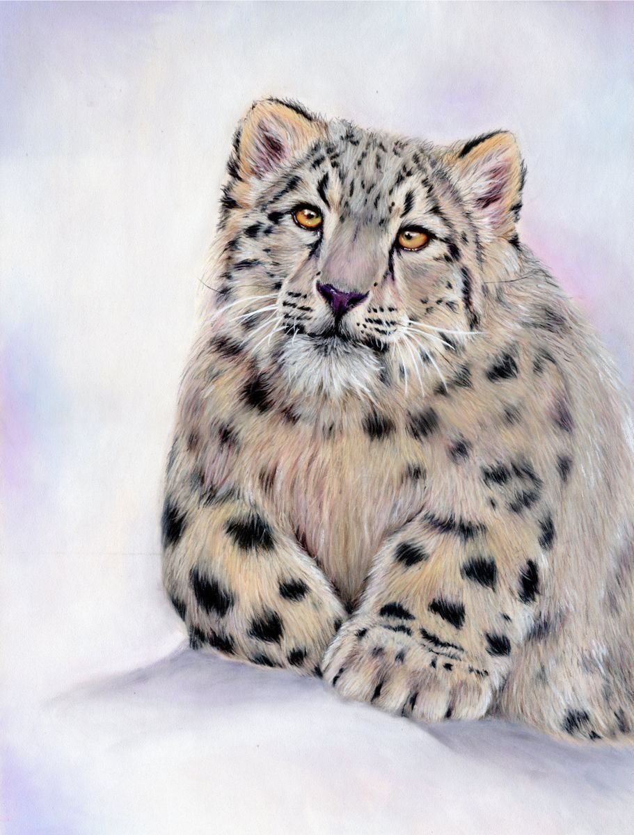 Snow Leopard by Katie Packer