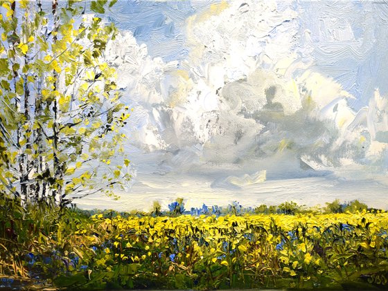Dream field