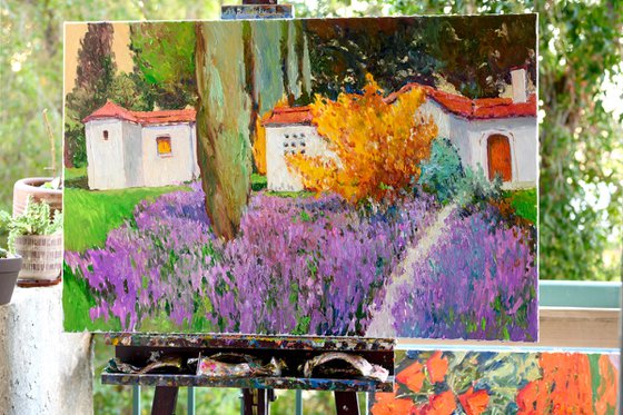 Lavender and Hispanic Houses