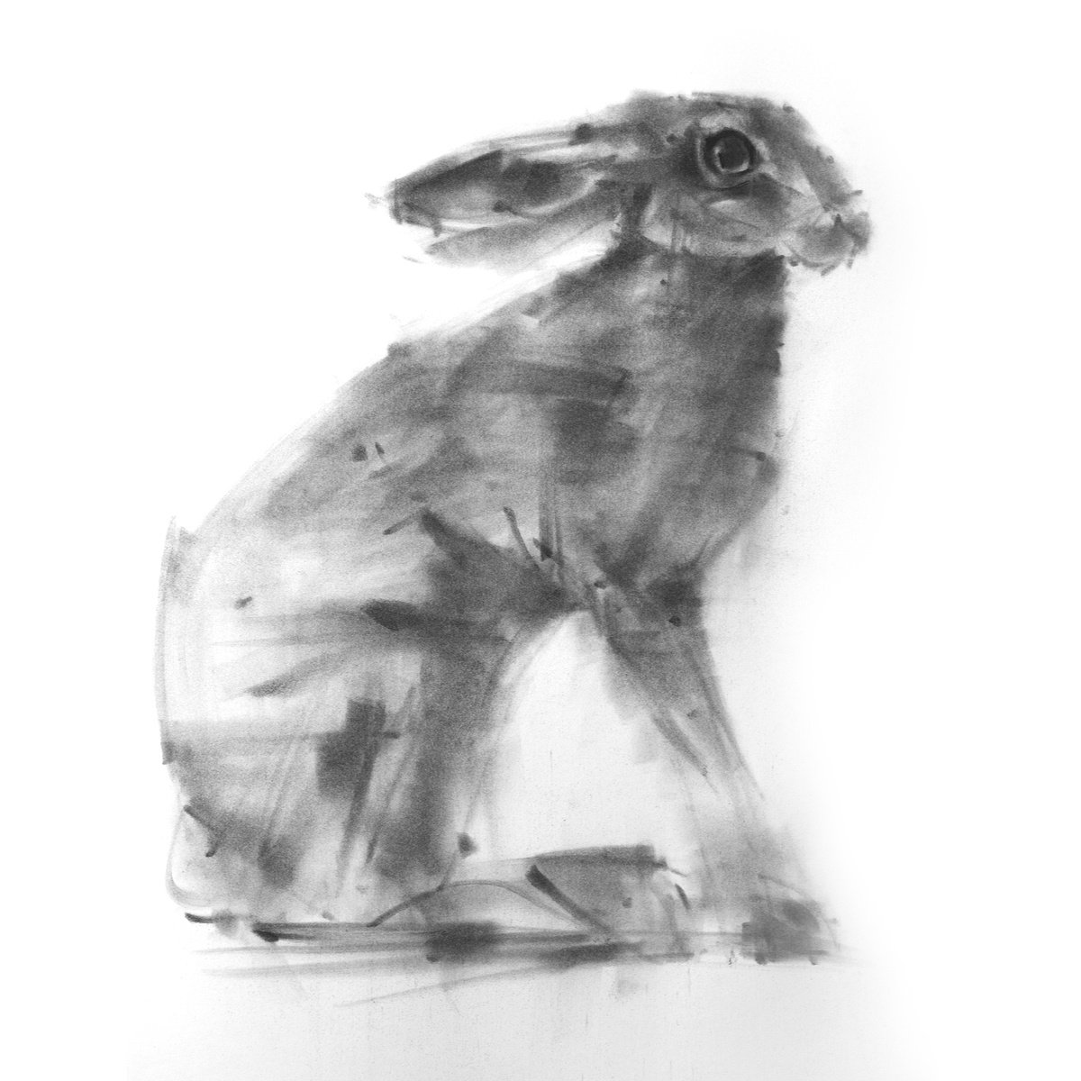 Hare No 3 by Tianyin Wang
